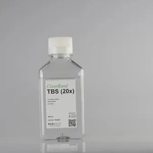 20x Tris Tamponlu Tuzlu Su, pH 7.6