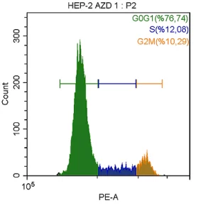 Hücre Döngüsü Analiz Kiti