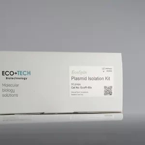 Plazmid İzolasyon Kiti