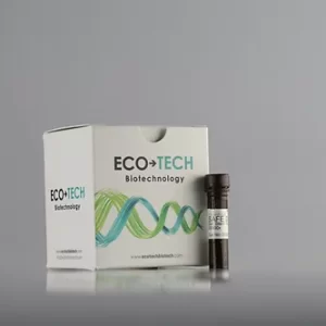 SAFE DNA Jel Leke Solüsyonu (20000x)