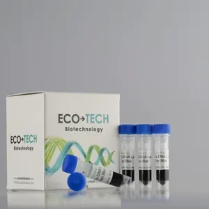 6x DNA Yükleme Boyası Mavi