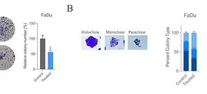 CrystalStain, Hücre Boyama Solüsyonu