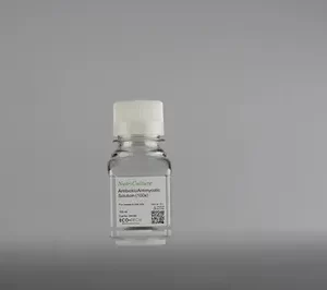 Antibiyotik Antimikotik Solüsyon (100×)