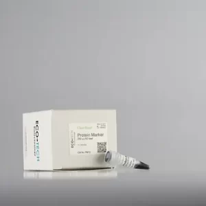 Önceden boyanmış protein işaretleyici