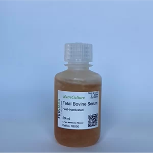 Fetal Sığır Serumu Isıyla İnaktive Edilmiş
