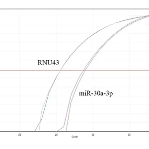 2x Prob Ana Karışımı